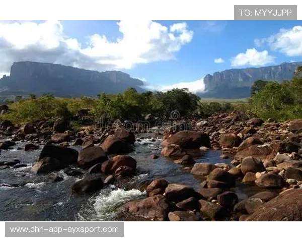 圭亚那体育馆建设全面提速，圭亚那国家公园