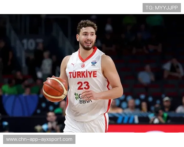 申京末节连续低位勾手命中在印第安纳禁区横着走