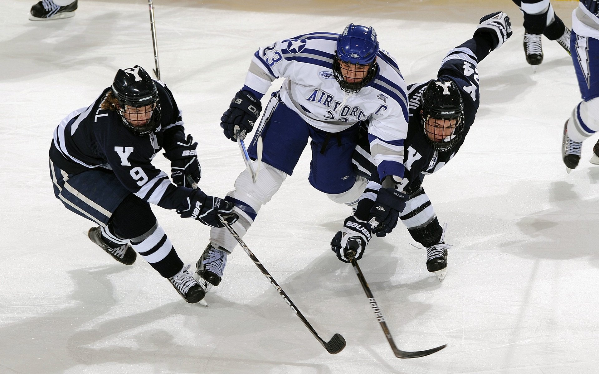 “天气考验：暴雨、雪雾的生死瞬间”，天气预报的暴雨